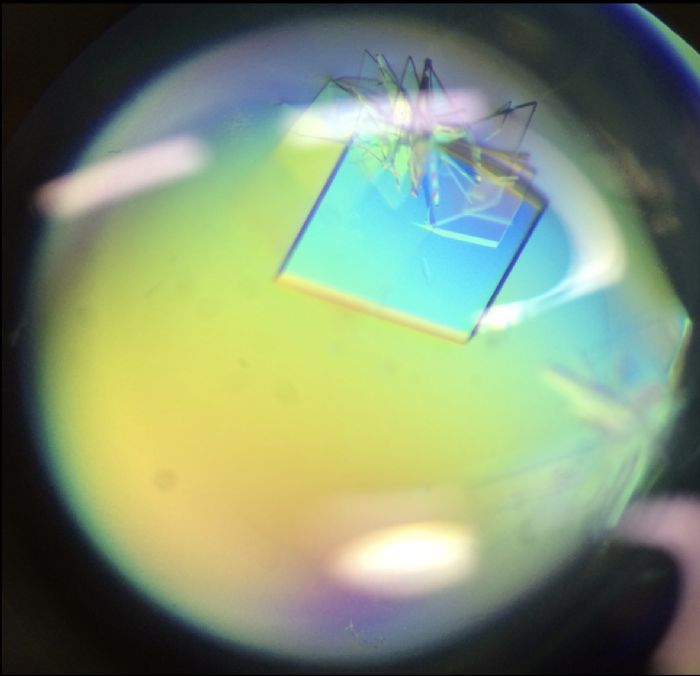 Protein crystal